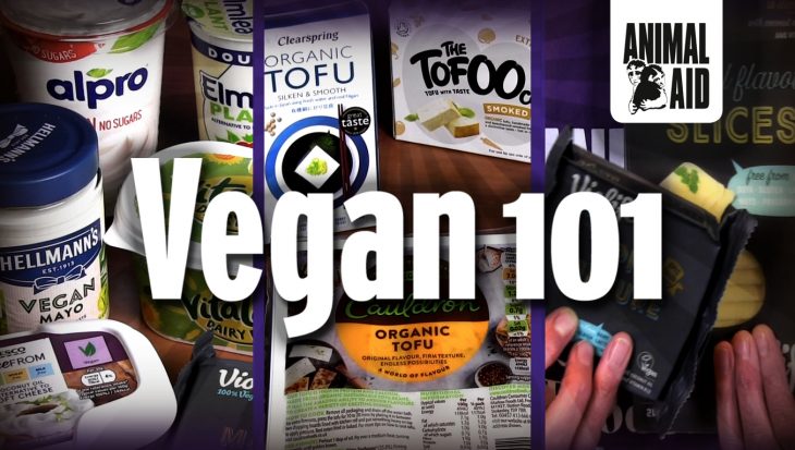 Vegan 101