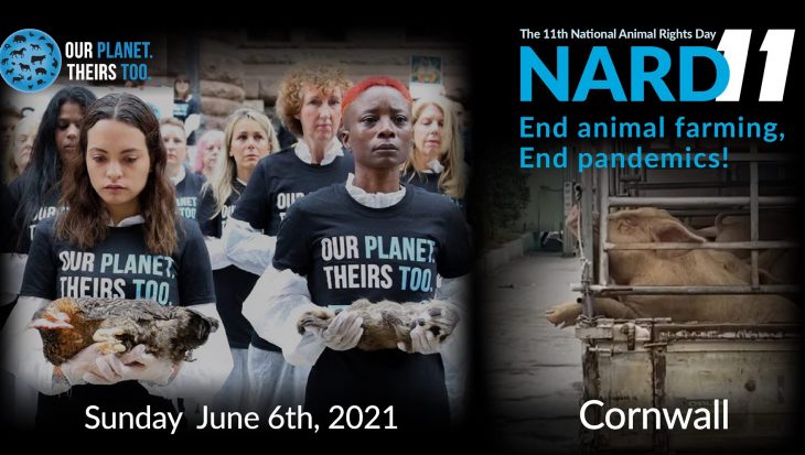 National Animal Rights Day 2021 - Cornwall