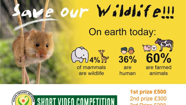 Save our Wildlife Film Competition