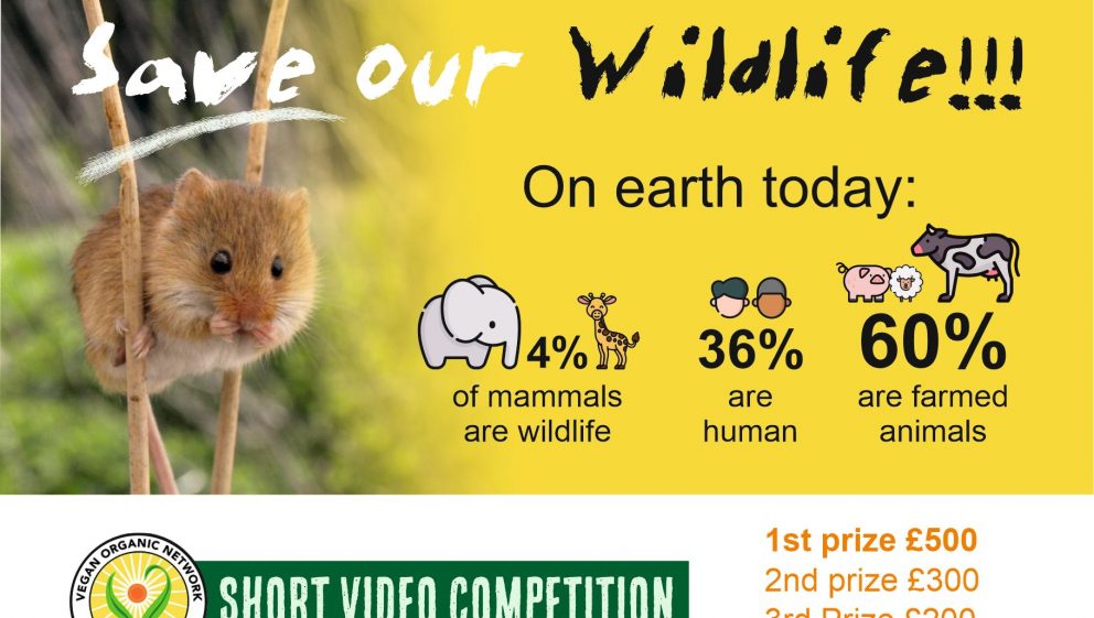 Save our Wildlife Film Competition