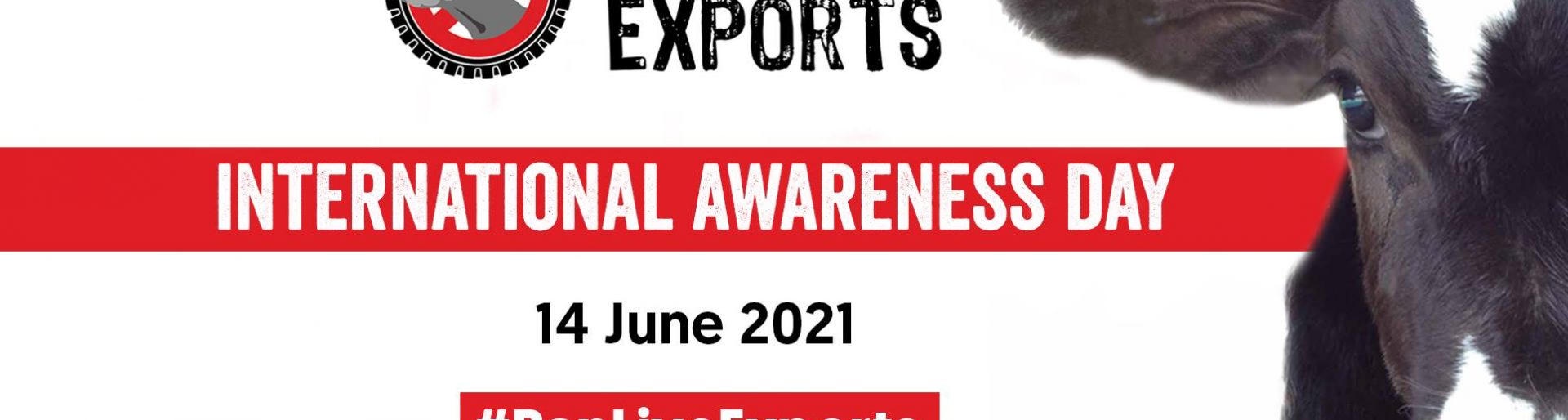 Ban Live Exports 2021 - International Awareness Day