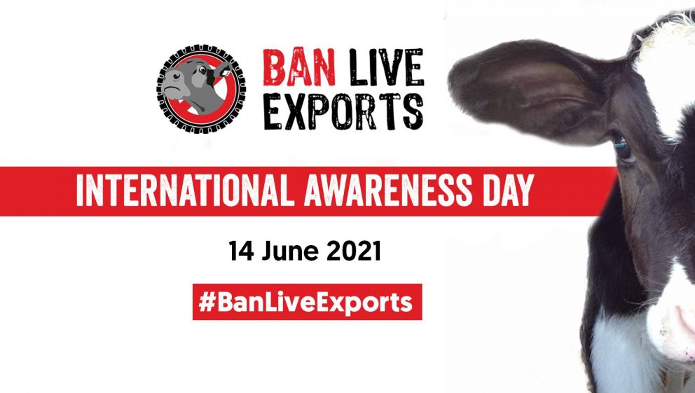Ban Live Exports 2021 - International Awareness Day