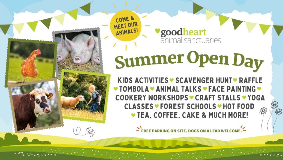 Goodheart Animal Sanctuary Summer Open Day 2021