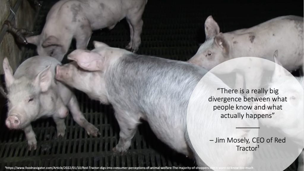 Shining a light on animal welfare labelling - Animal Aid Shining a light on animal welfare labelling - Animal Aid
