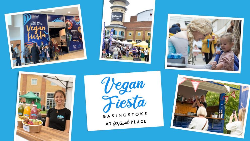 Vegan Fiesta Basingstoke