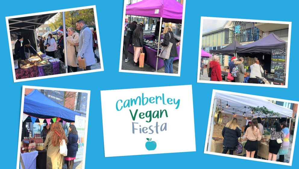 Camberley Vegan Fiesta