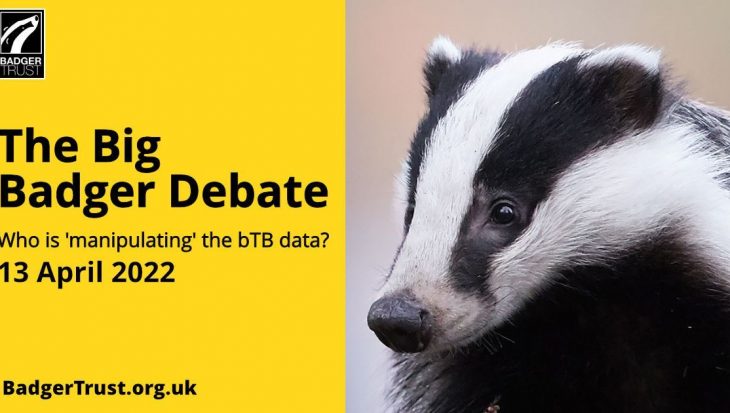 The Big Badger Debate.