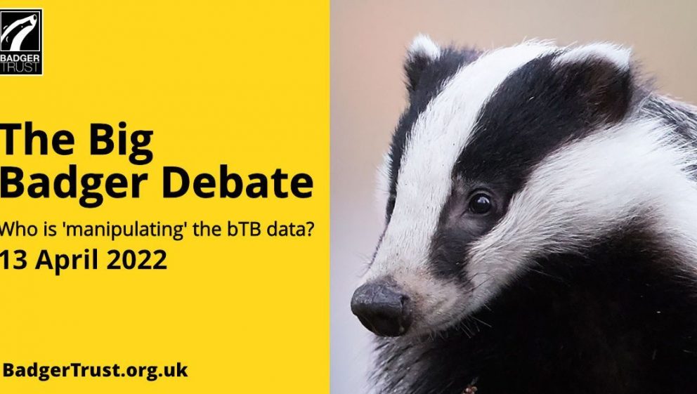 The Big Badger Debate.