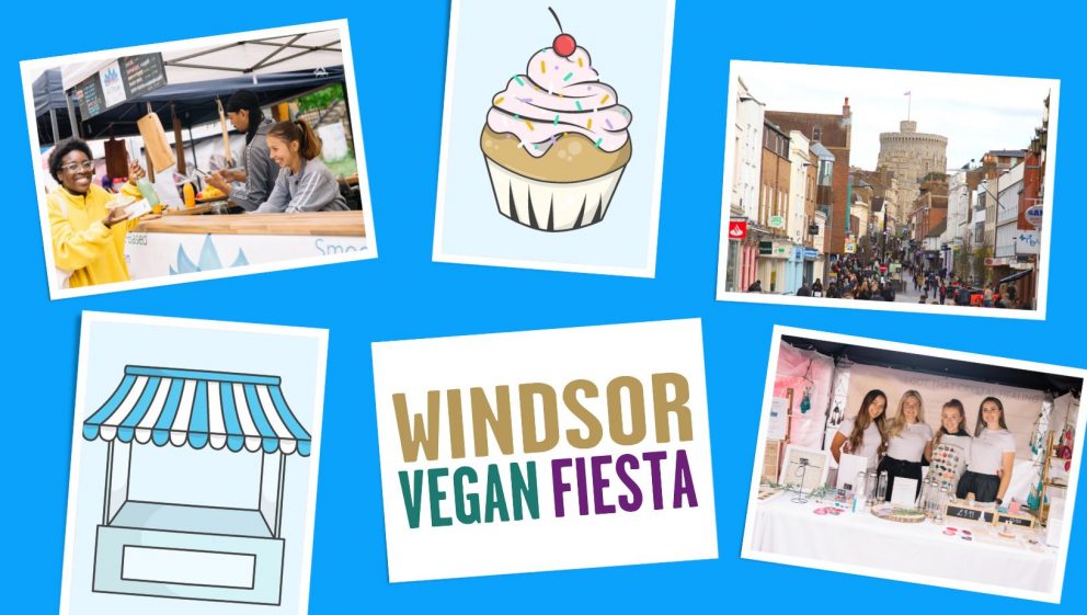 Windsor Vegan Fiesta