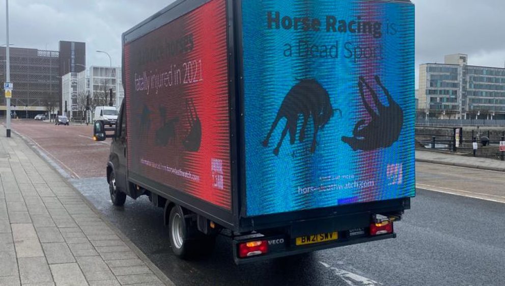 Van in Liverpool with Animal Aid artwork