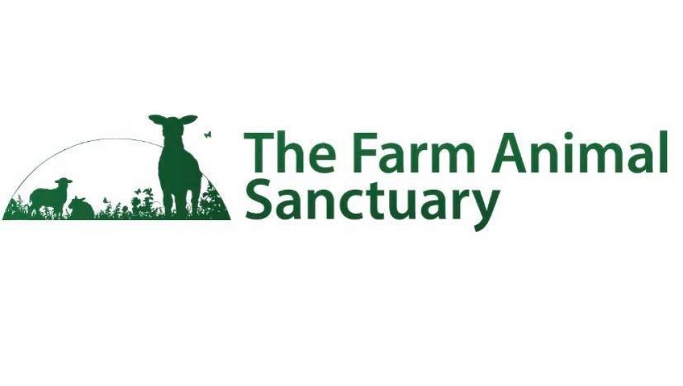 The Farm Animal Sanctuary's Annual Festival