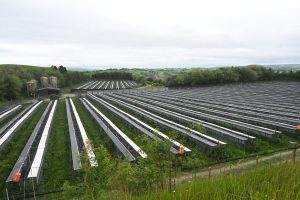 Raised laying cages at an industrial game farm