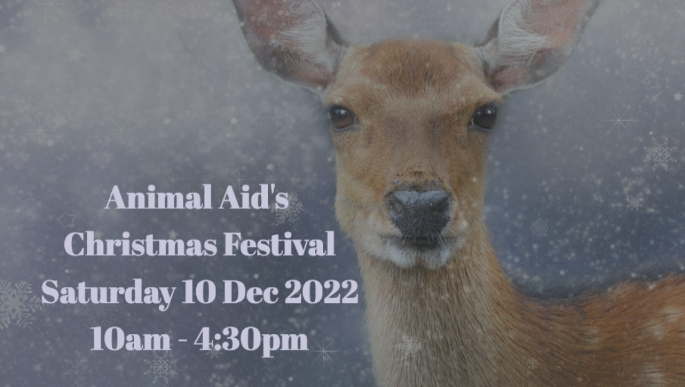 Animal Aid's Christmas Festival 2022