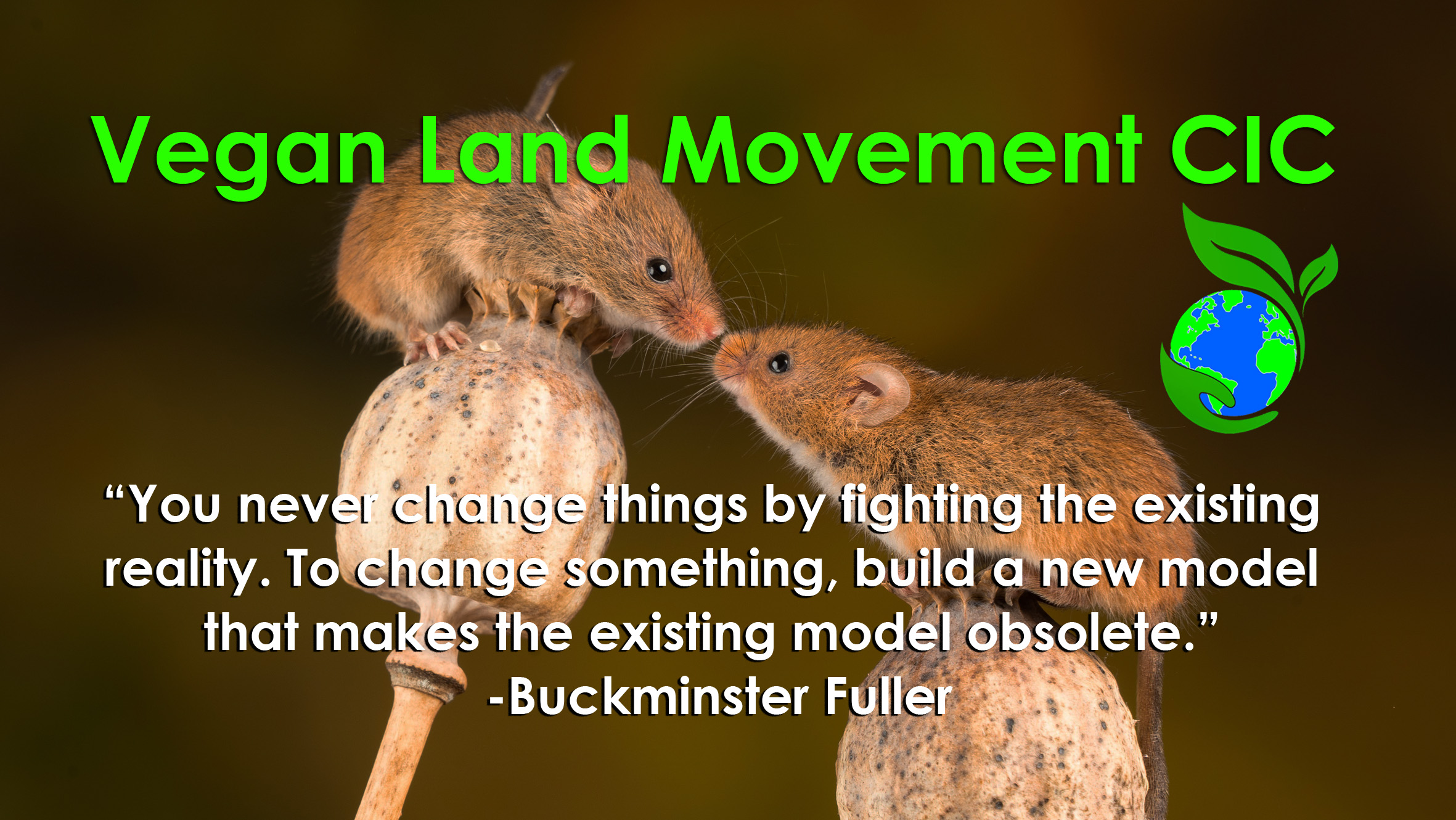 BM Quote CIC copy The Vegan Land Movement - Animal Aid