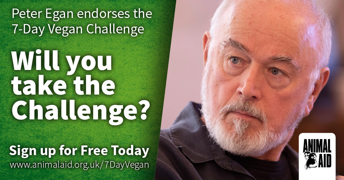 Endorsement Peter Facebook Celebrities endorse the 7-Day Vegan Challenge