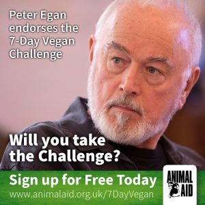 Animal Aid patron, actor and activist, Peter Egan.