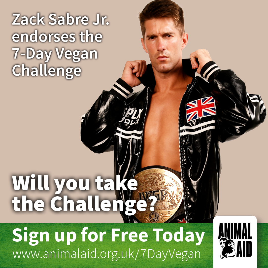 Professional wrestler, Zack Sabre Jr.