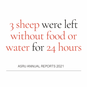 Click through the gallery below to read some of the non-compliances from 2019-2021, which numbered more than 320 cases.