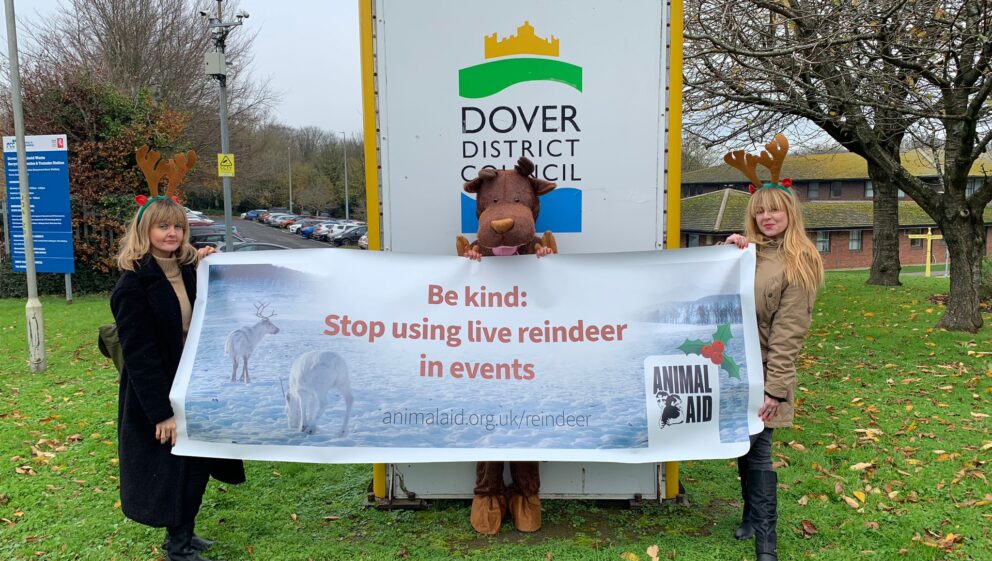 Animal Aid reindeer demo outside Dover District Council