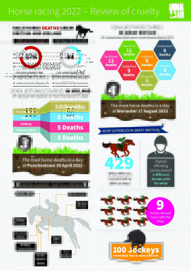 AA HorseRacingInfographic2023 FINALREV2 1 pdf Wales: Snares ban moves forward