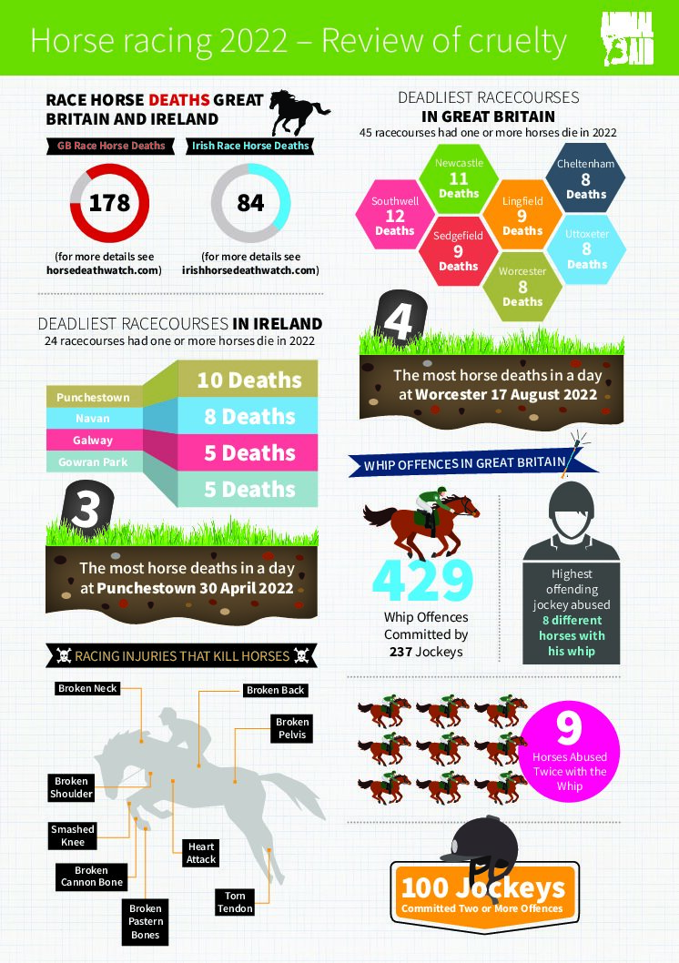 AA HorseRacingInfographic2023 FINALREV2 1 pdf Wales: Snares ban moves forward