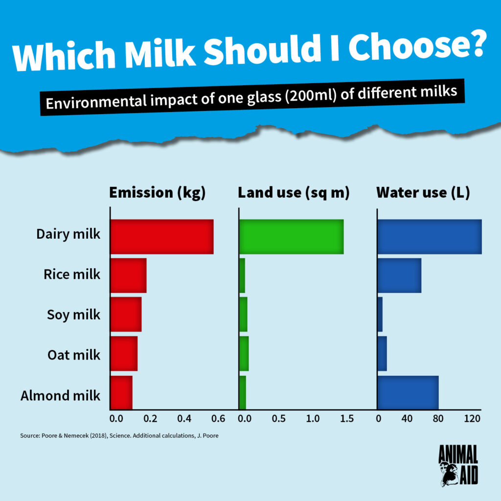 Why going vegan is better for the planet: World Vegan Month - Animal Aid