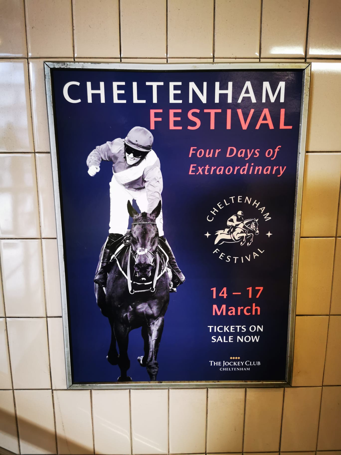 Cheltenham whip poster WhatsApp Image 2023 02 20 at 15.23.07 Airbrushing out the painful truth