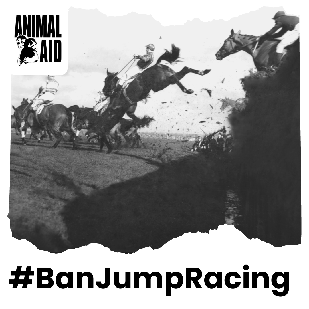 9 Grand National Festival: Ban Jump Racing!