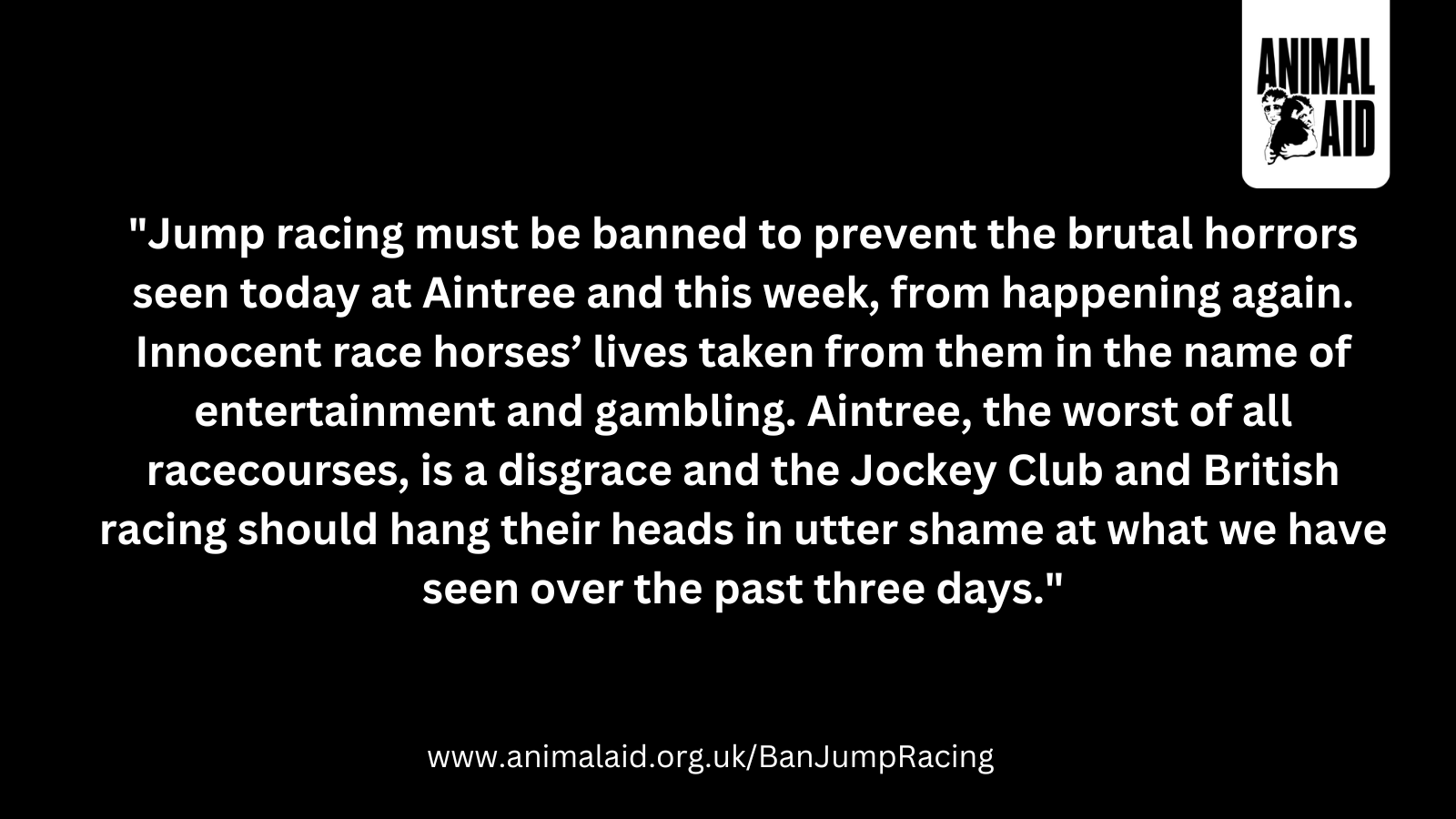 GN Quote Hill Sixteen Twitter Post Grand National chaos kills more horses