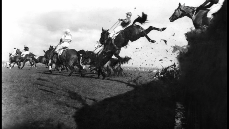 horse in the process of falling after jumping a fence