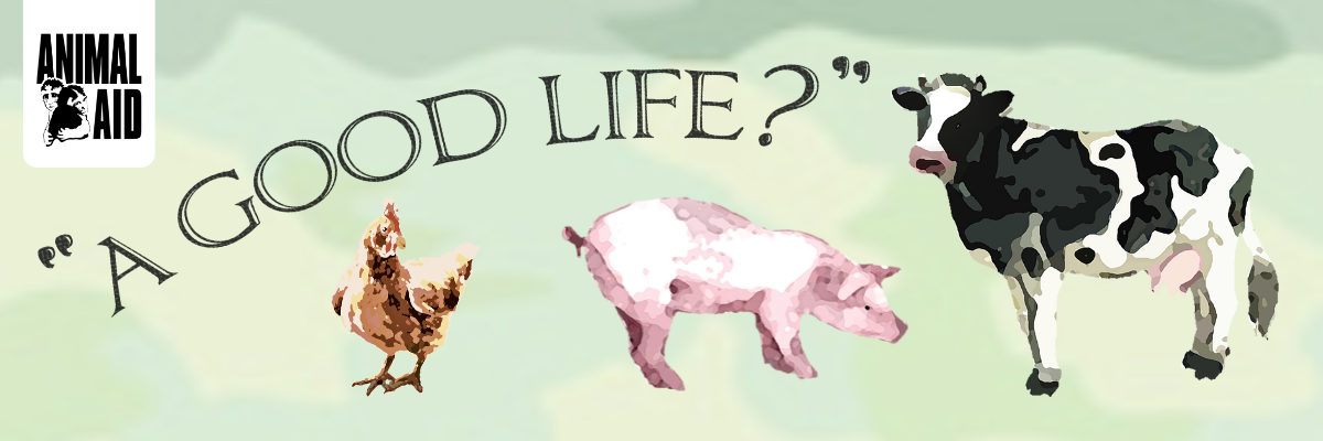 an illustration of a chicken, pig and cow standing on a green background, underneath a text banner that reads A Good Life?