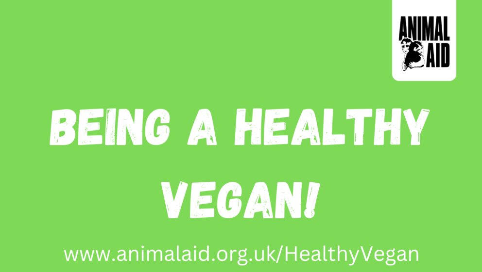 Why going vegan is better for the planet: World Vegan Month - Animal Aid