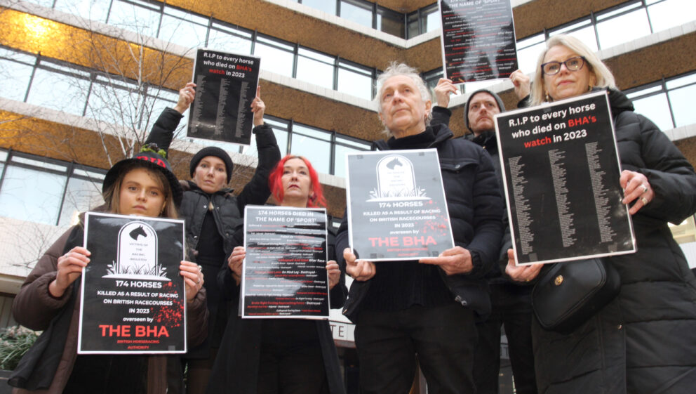 Animal Aid hold vigil for all the racehorses who have died on racecourses in Britain in 2023, outside The British Horseracing Authority HQ in London