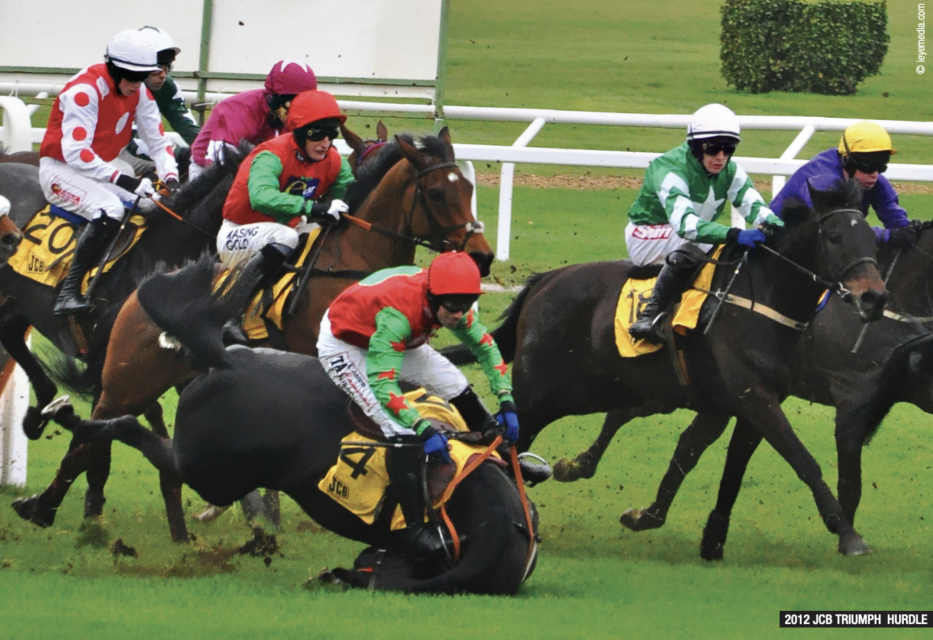 Horse falling during race