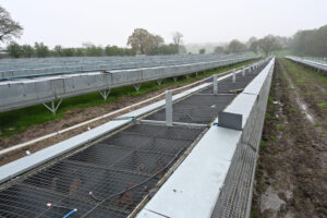  Investigations reveal cruel and oppressive metal raised battery units to confine the parent breeding birds.