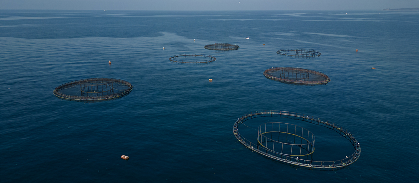 Vast ocean with six fish farms dotted around