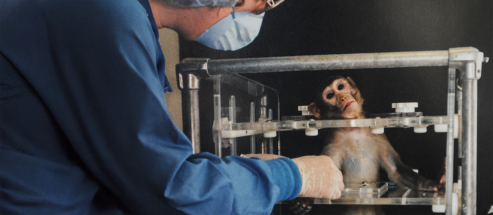A monkey in a metal contraption as scientist looks on