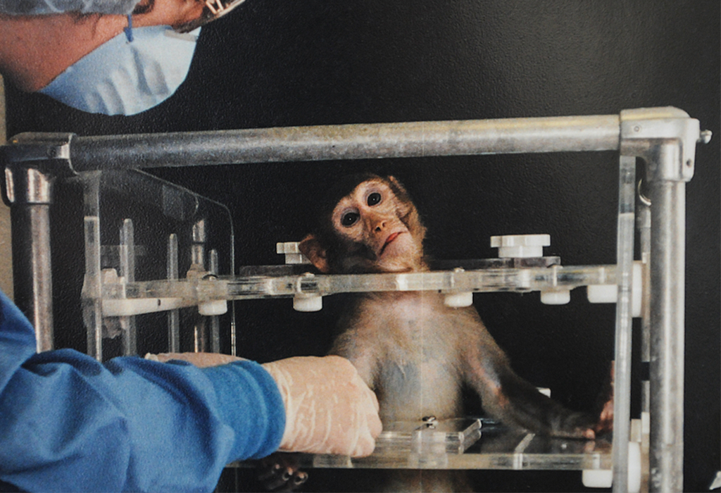 A monkey in a metal contraption as scientist looks on