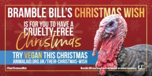 Their Christmas Wish 