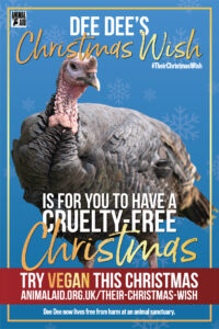 Their Christmas Wish 