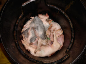 Investigation into Norway Farm, Bempton, Yorkshire