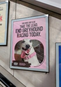 Hounds of the Underground