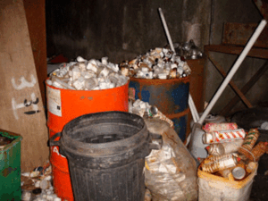 Lower Egford Farm, St Columb, Cornwall