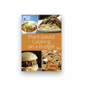 Plant-Based Cooking on a Budget (A5 booklet)