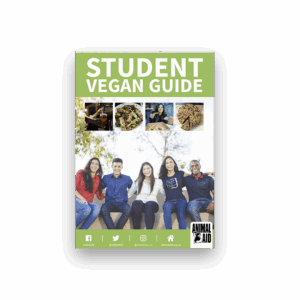 Student Vegan Guide (A5 leaflet)