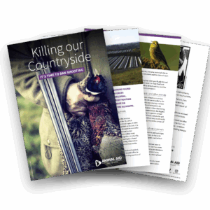 Killing our Countryside (A5 leaflet)