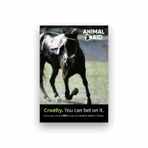 Cruelty. You Can Bet On It (poster)