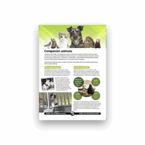 Companion animals (A4 factsheet)