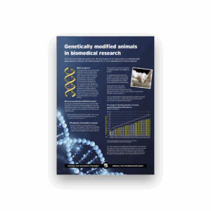 Genetically modified animals in biomedical research (A4 factsheet)