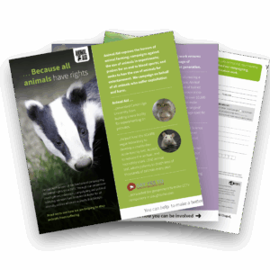 Animal Aid Membership (A5 slim leaflet)